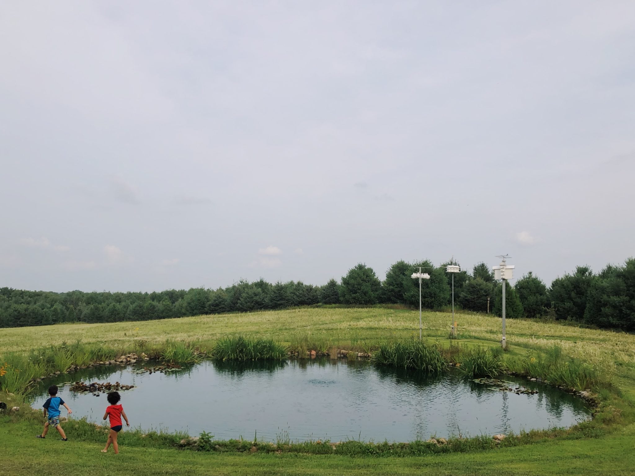 kids running around pond